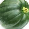 Squash, Amoro