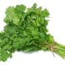 Coriander bunch