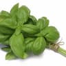 Basil bunch