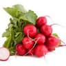 Cherry Belle Radish
